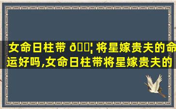 女命日柱带 🐦 将星嫁贵夫的命运好吗,女命日柱带将星嫁贵夫的命运好吗婚姻如何